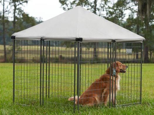 Tractor Supply dog kennel: Retriever HD4545 Pet Retreat Portable Kennel