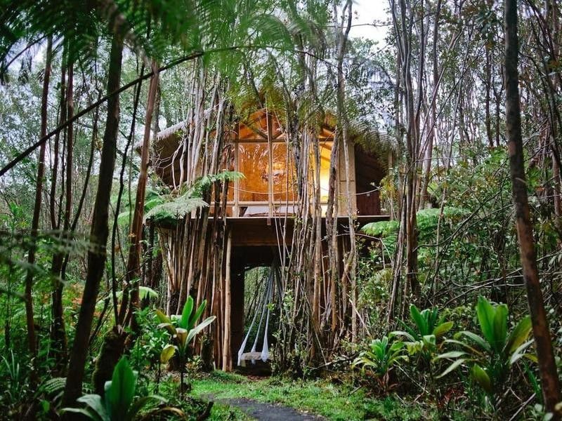 treehouse hawaii
