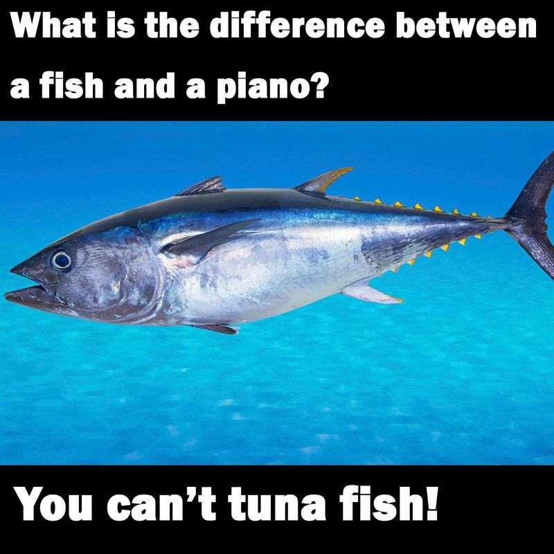 Tuna fish funny meme