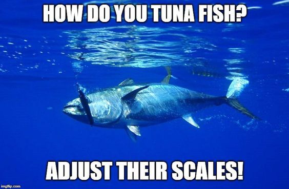 Tuna fish meme