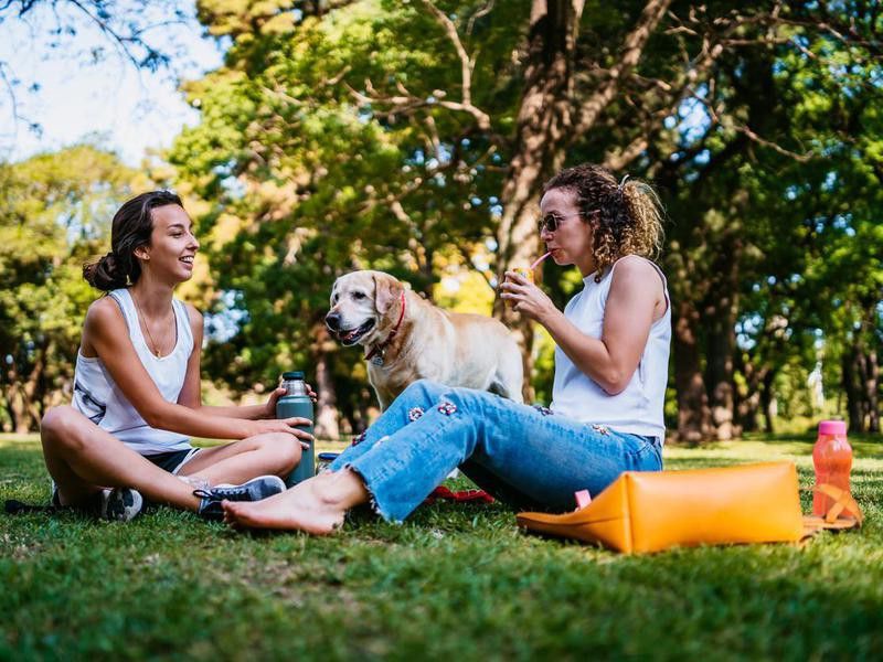 Two women and a dog relaxing in the park
