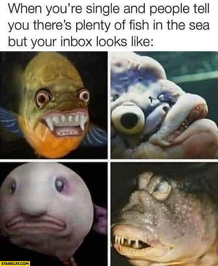 Ugly fish memes