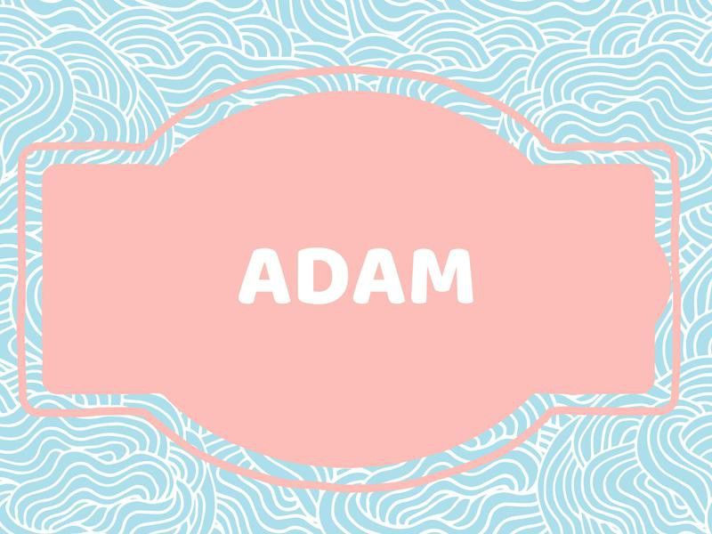Unique Baby Boy Names: Adam