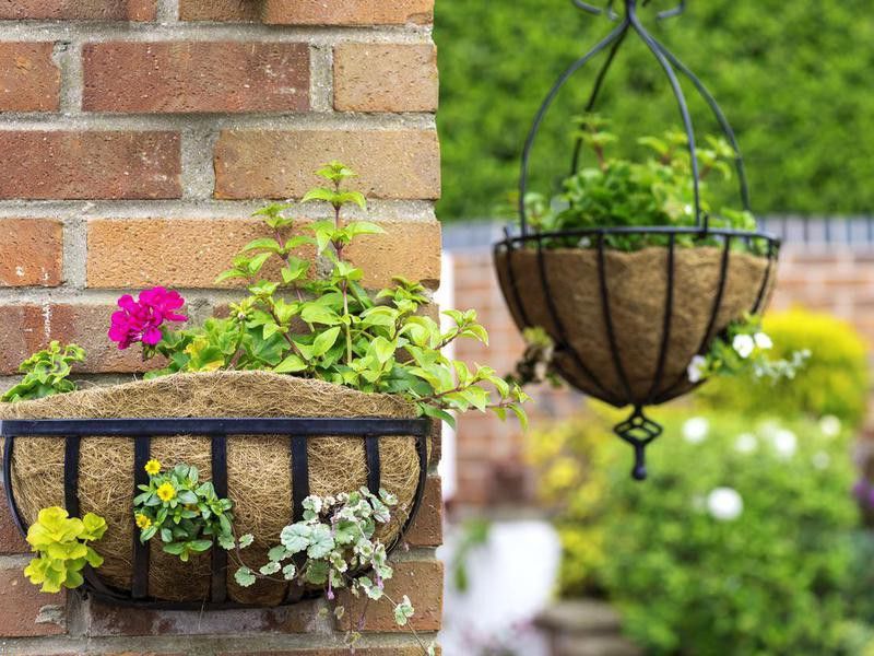 Use Hanging Baskets and Pots