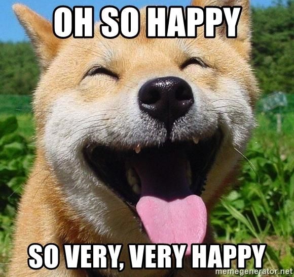 Very happy dog meem
