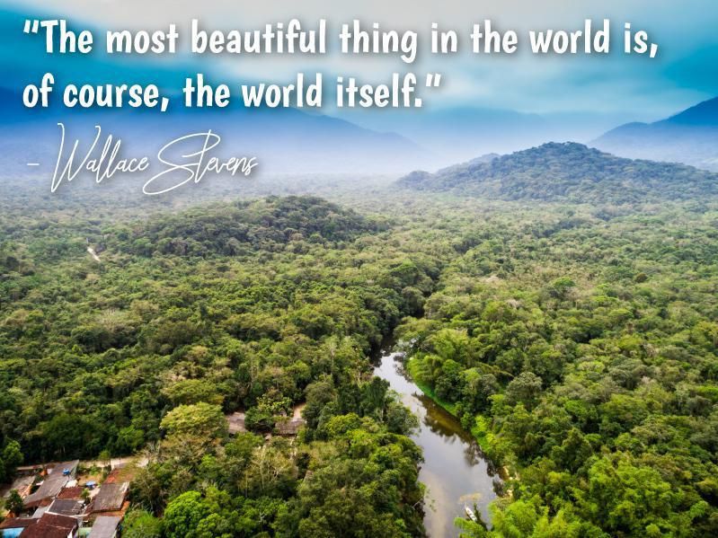 Wallace Stevens quote on the beauty of the world