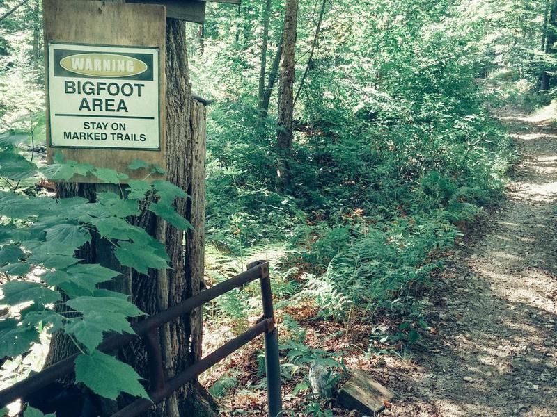 Warning Bigfoot Area Stay on Marked Trails Sign on Tree