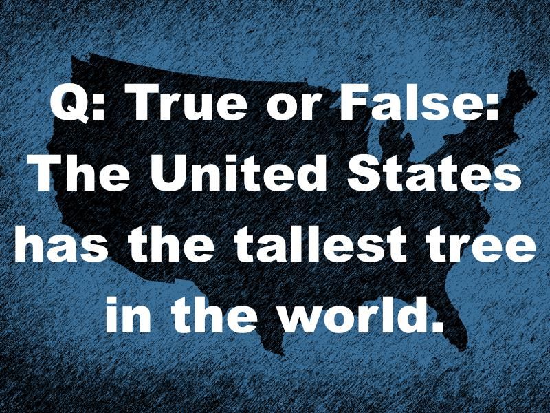 What's the tallest tree in the world?