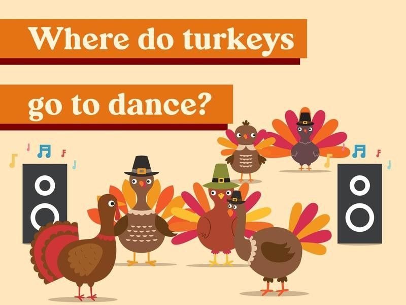 Where do turkeys go to dance?