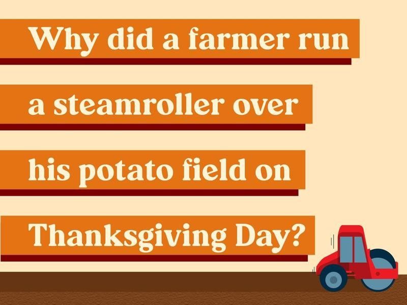 Why did a farmer run a steamroller over his potato field on Thanksgiving Day?