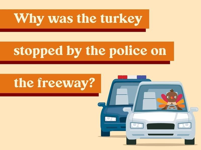 Why was the turkey stopped by the police on the freeway?