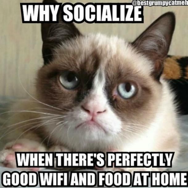 Wifi and food at home
