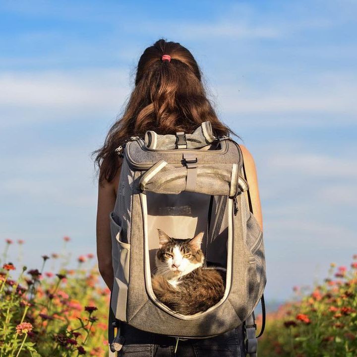 Woman carrying her cat in backpack