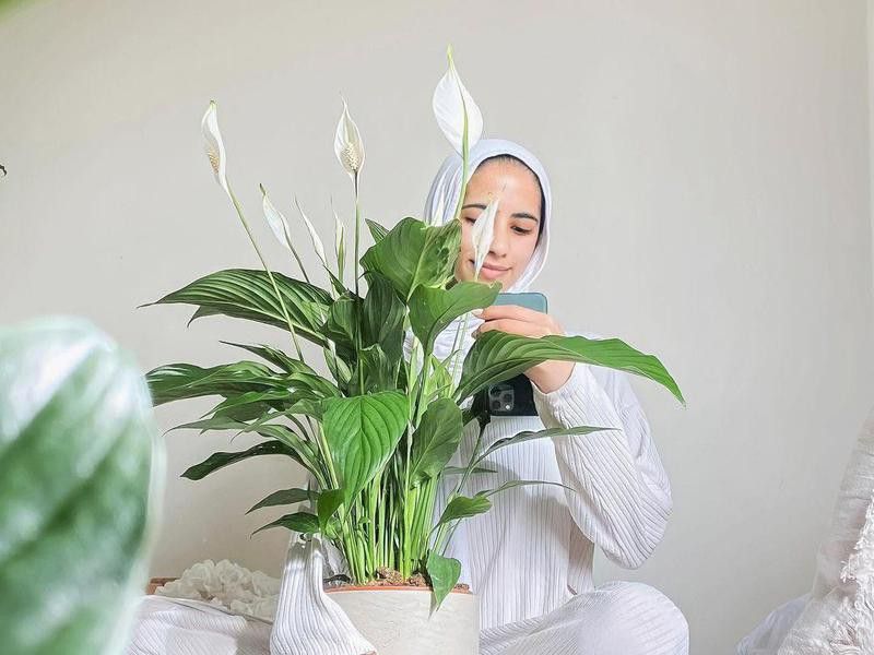 Woman holding a peace lily plant