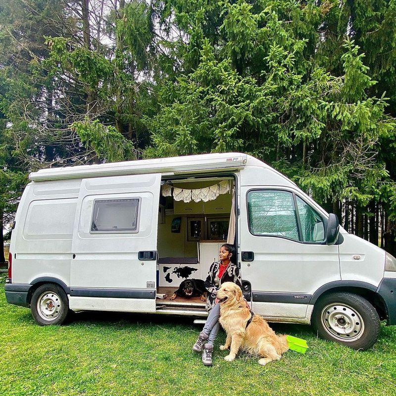 Woman in campervan with dogs