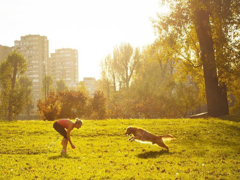 Woman playing with dog in the park