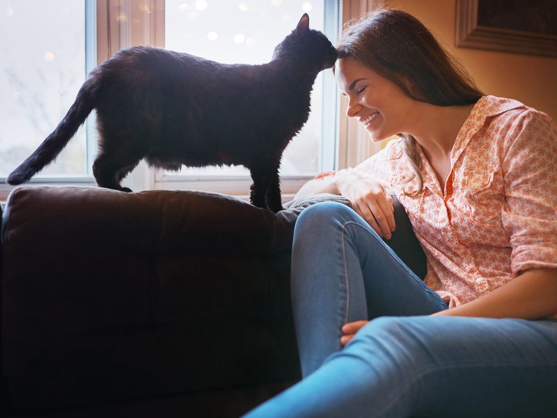 woman relaxing on the sofa at home and bonding with her cat