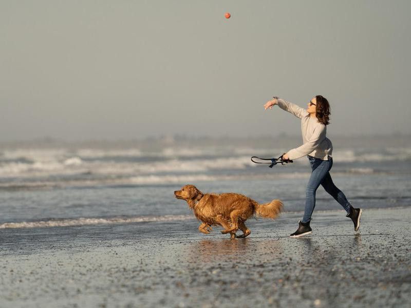 Woman throwing ball for dog at beach