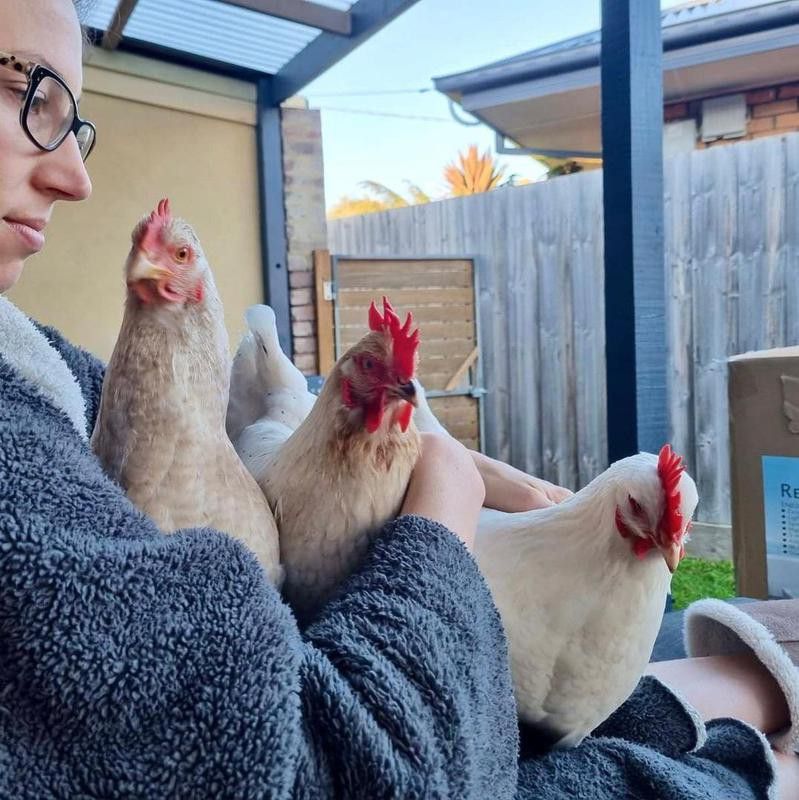 Woman with three pet chickens