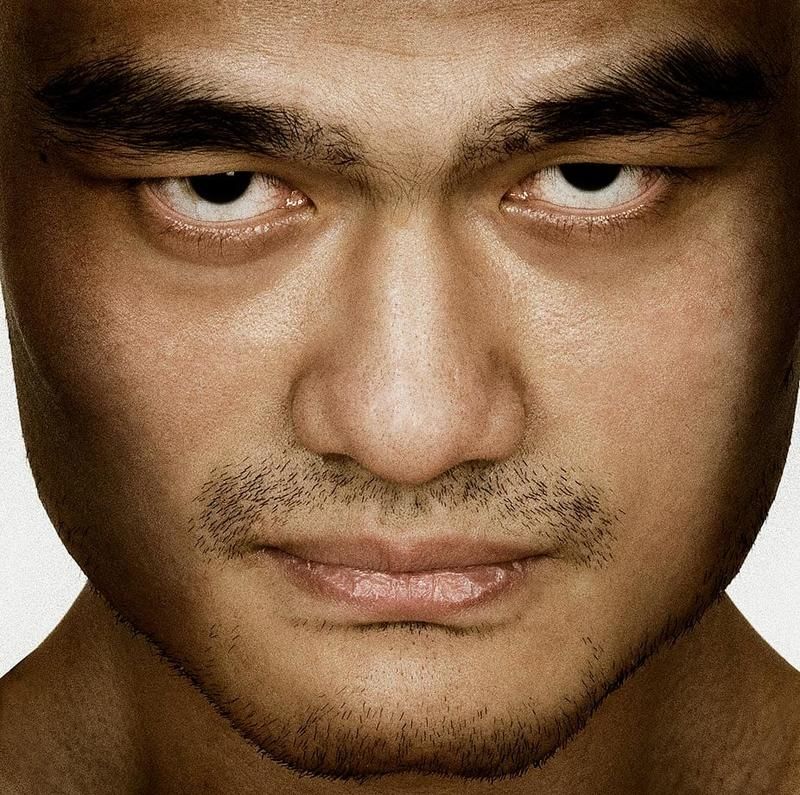 Yao Ming, 2008