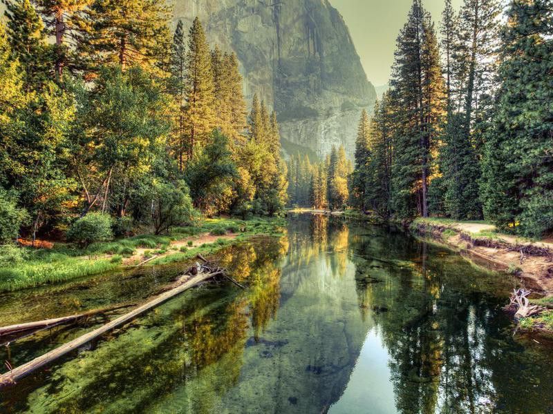 Yosemite Valley Landscape and River, California