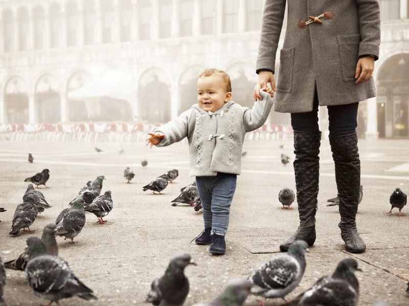 Young Italian child looking at pigeons