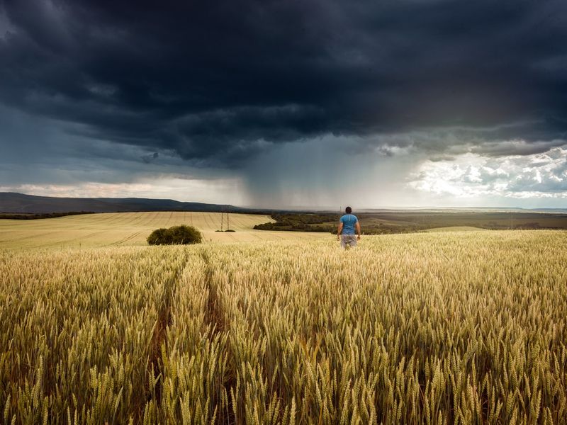 Young man storm chaser watching a severe thunderstorm in the wheat field