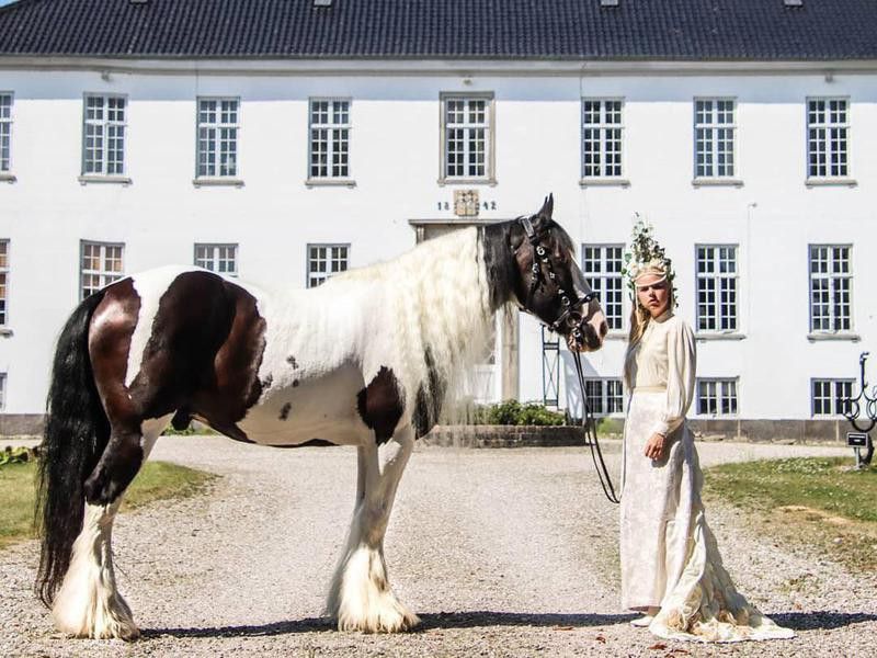 Young woman and Drum horse in front of Egholm Castle