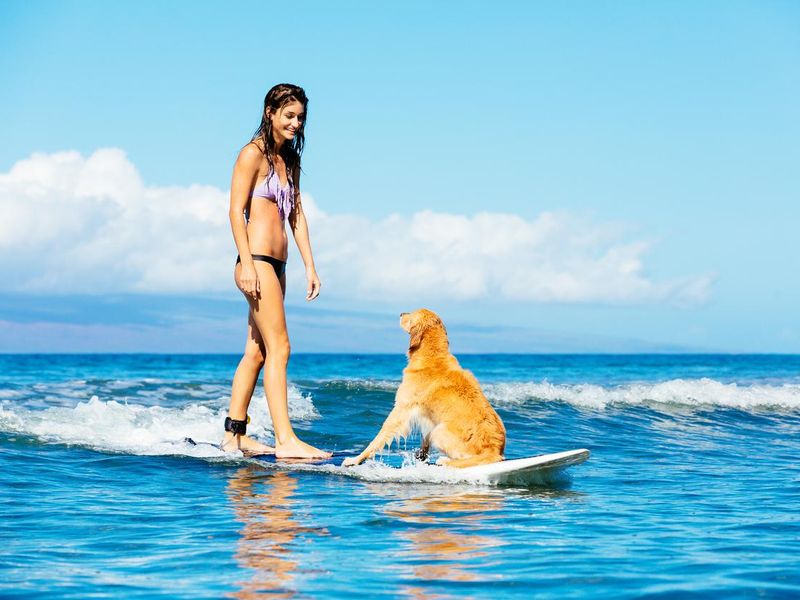 Young Woman Surfing with Her Dog