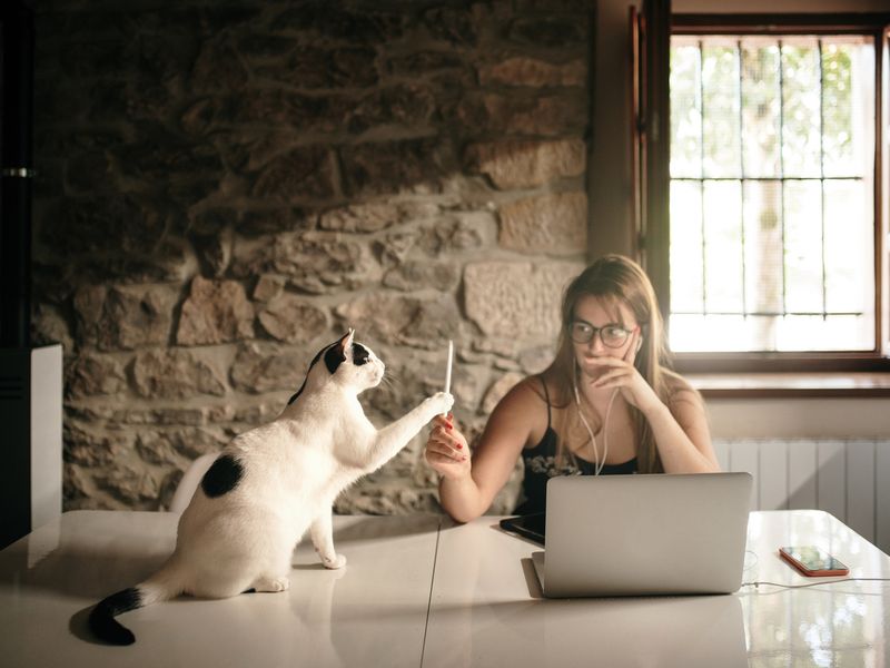 Young woman working from home with her cat
