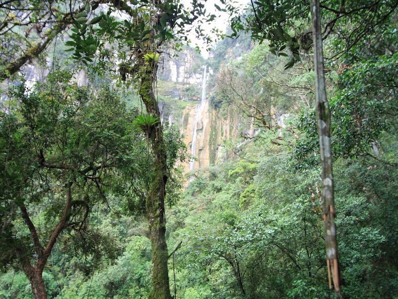 Yumbillia Falls in the Amazon