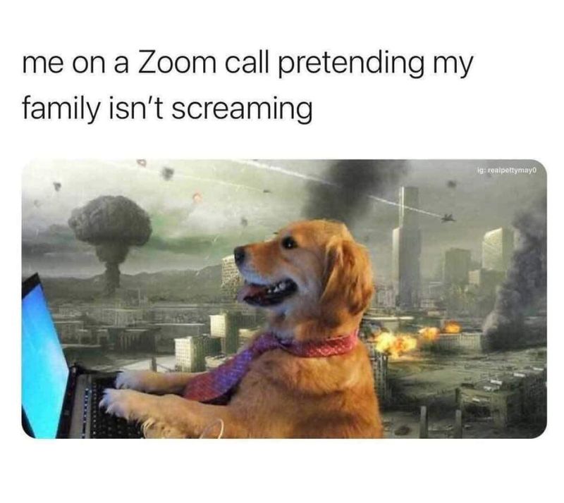 Zoom call meme